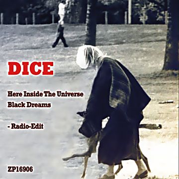 DICE-Here Inside The Universe
